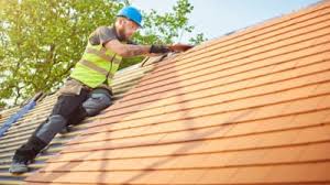 Best Roof Maintenance and Cleaning  in Grand Blanc, MI